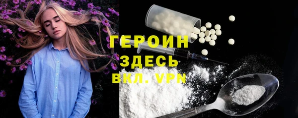 индика Алагир